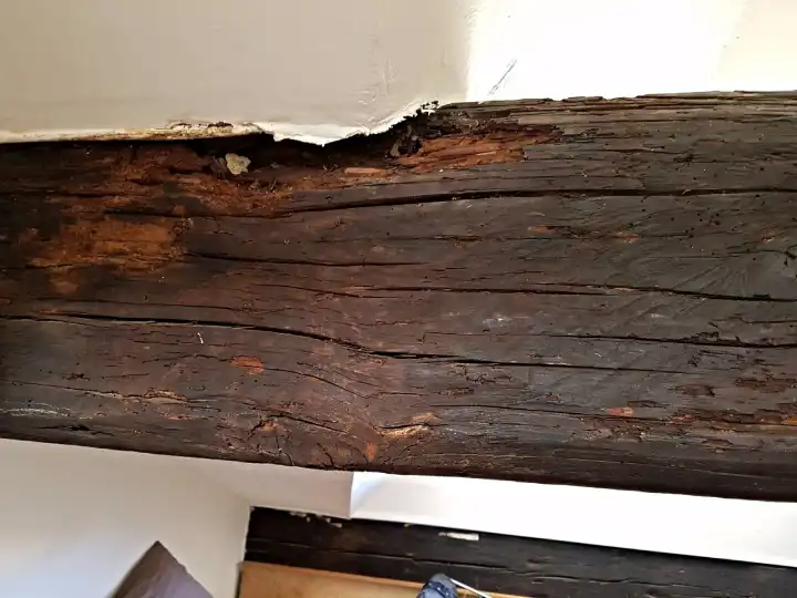 Expertise d'une charpente dans un appartement à Montpellier dans le Languedoc Roussillon