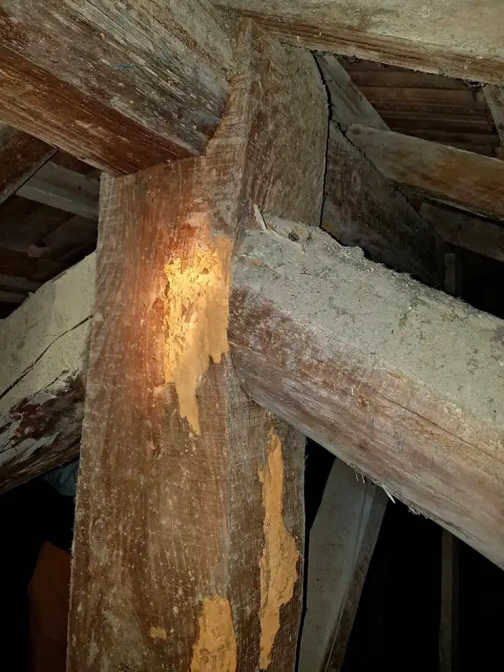 Expertise de la charpente avant vente d'un immeuble situé à Palavas Les Flots en Occitanie