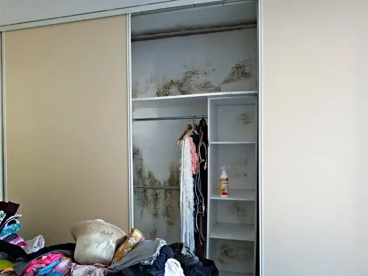 Expertise d’humidité dans un appartement situé à La Grande Motte dans le Languedoc Roussillon