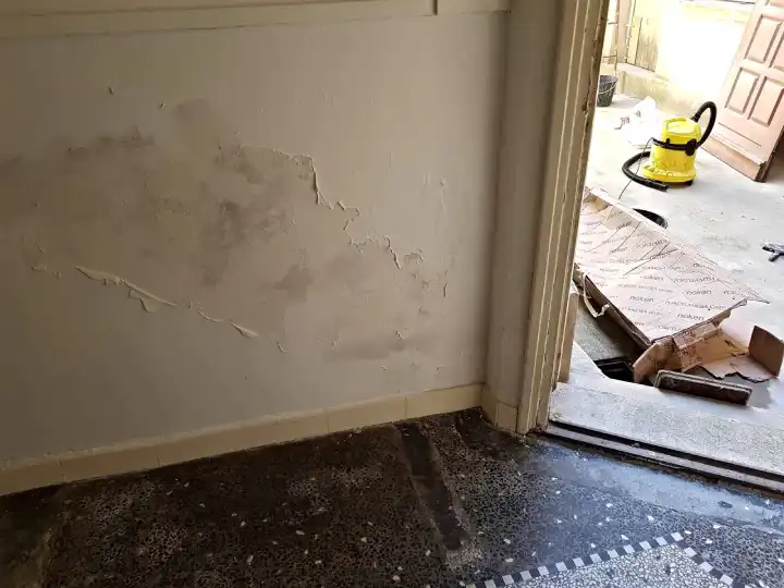 Expertise de problèmes d'humidité dans un appartement situé à Montpellier dans l'Hérault