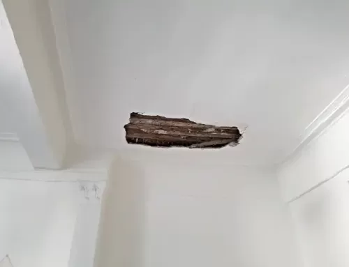 Avis technique sur un effondrement de plafond dans un immeuble situé à Montpellier dans le Languedoc Roussillon