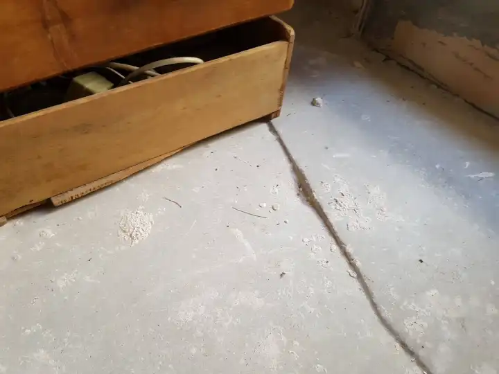 Conseils et assistance techniques lors de travaux de rénovation d’une maison à Bouzigues en Occitanie