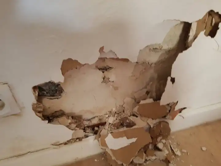 Avis sur de l’humidité dans un appartement situé à Agde dans l’Hérault