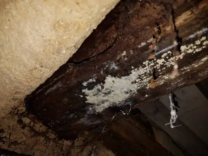 Expert bâtiment indépendant avant l’achat d’un appartement à Montpellier en Occitanie