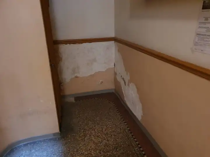 Conseil sur de l’humidité sur les murs d’un immeuble à Montpellier