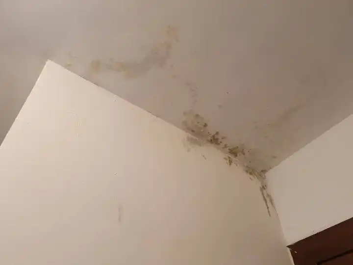Expertise d’humidité dans un appartement situé à Lunel dans l’Hérault