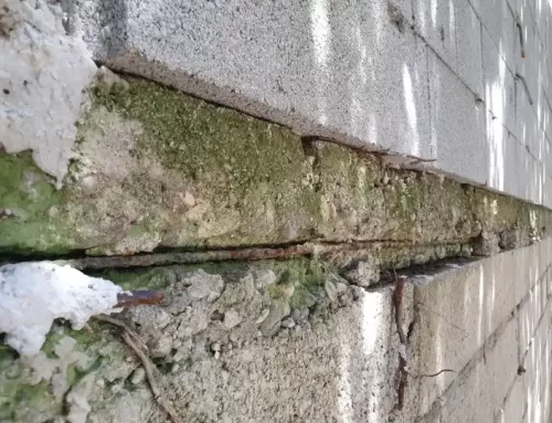 Expertise d’un mur de soutènement à Lodève dans l’Hérault